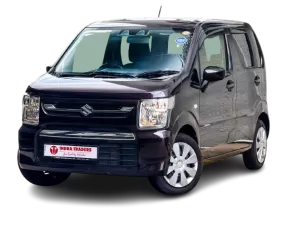 WAGON R FX 2024 ( Brown )
